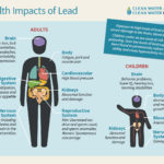 Health impacts of lead